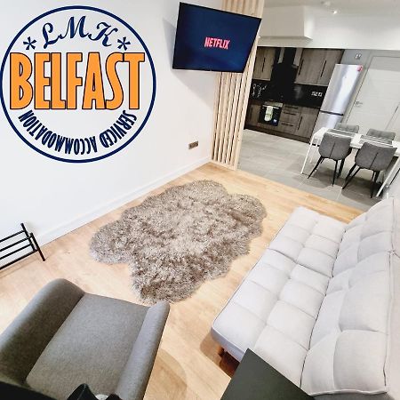 Lmk, Spacious 1 Bedroom Ground Floor Apartment, Ev Charger, Free Parking Wi-Fi, Great Location Belfast Exterior foto